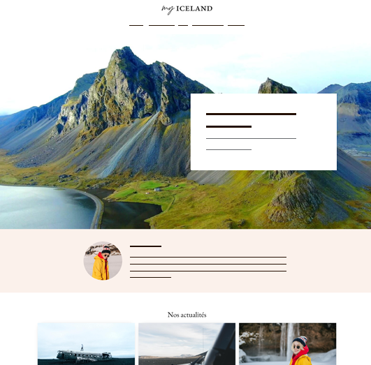 Travel website example