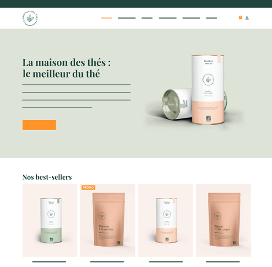 Online store website example
