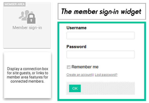 Member login widget