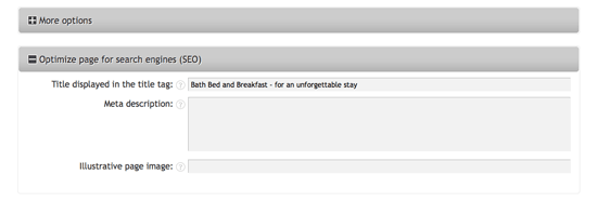 Optimize individual page titles from the page editor options Optimize individual page titles from the page editor options