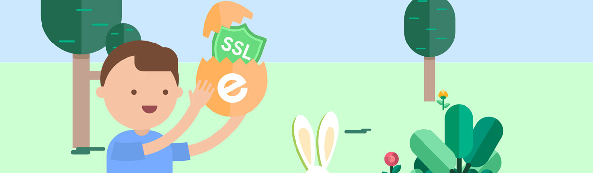 Spring deal ssl